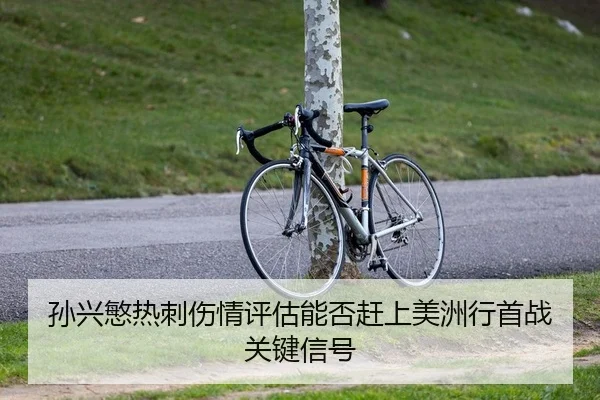 孙兴慜热刺伤情评估能否赶上美洲行首战关键信号